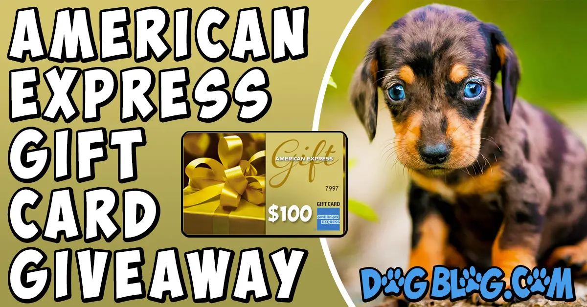 American Express giveaway
