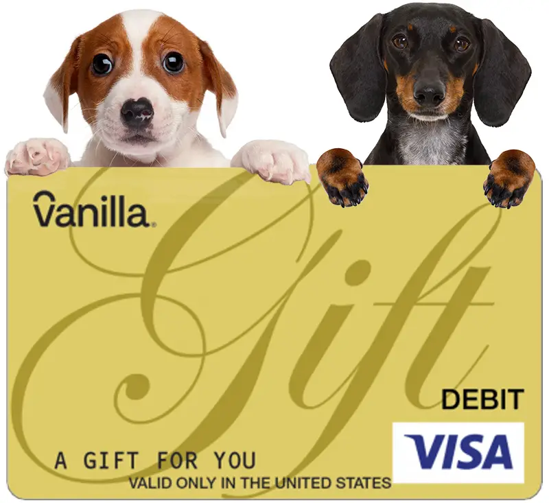 dogs gift card