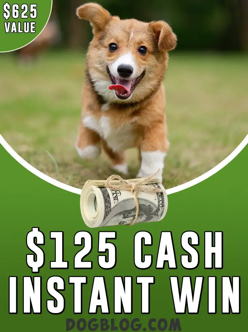 $125 cash giveaway