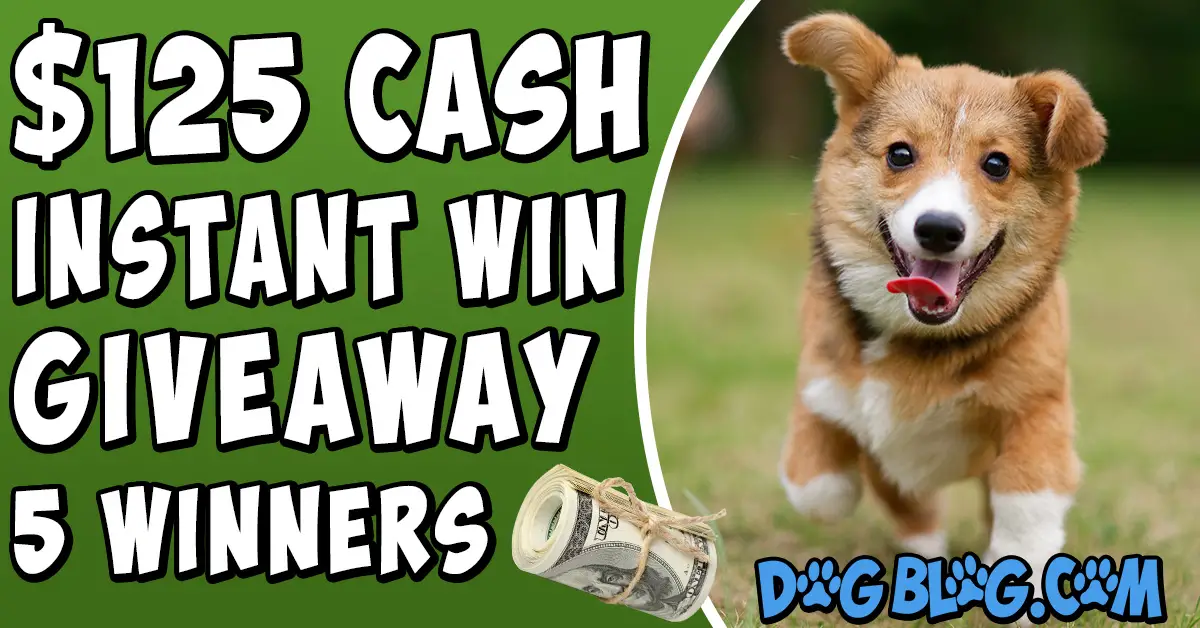 $125 cash instant win