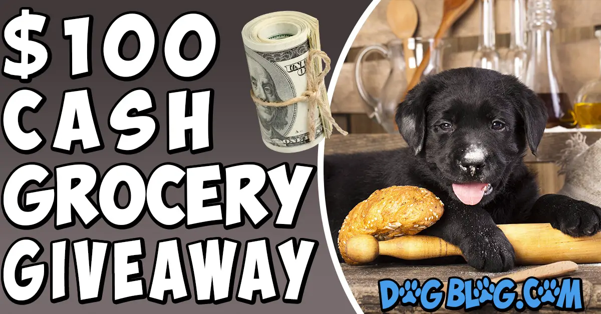 $100 grocery giveaway