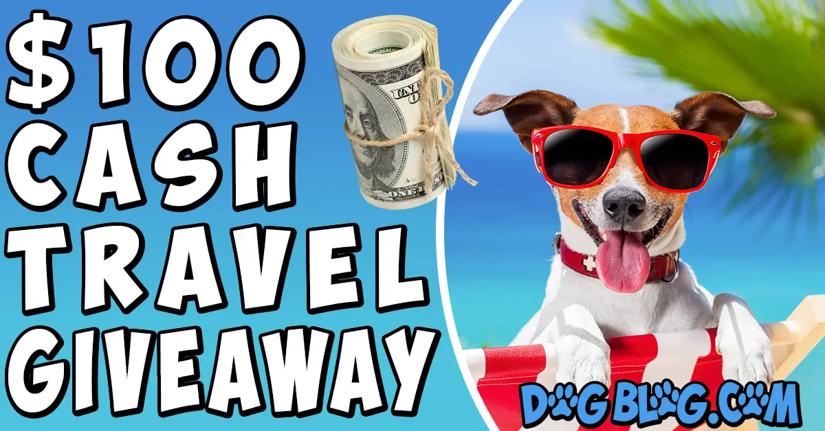 $100 travel giveaway