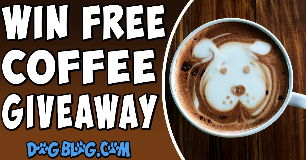 win free coffee