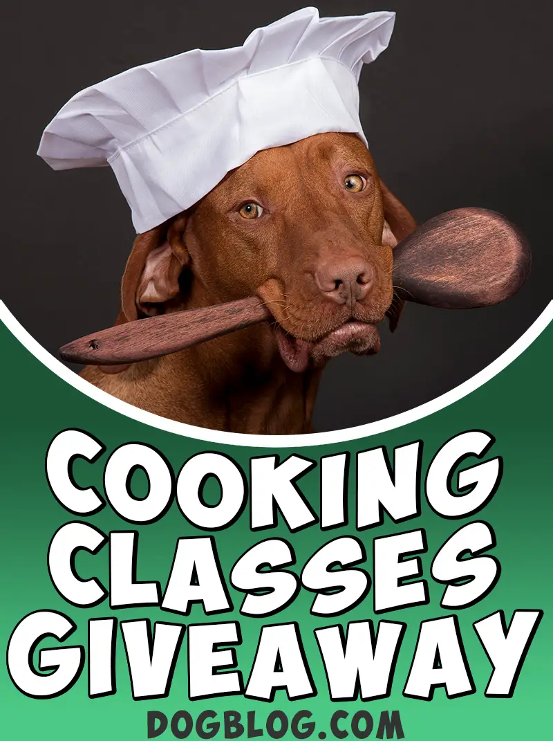 cooking classes giveaway