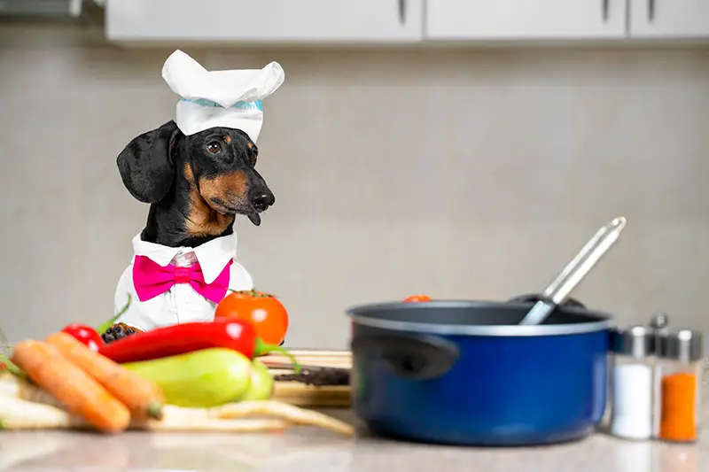 dog in kitchen with chef hat