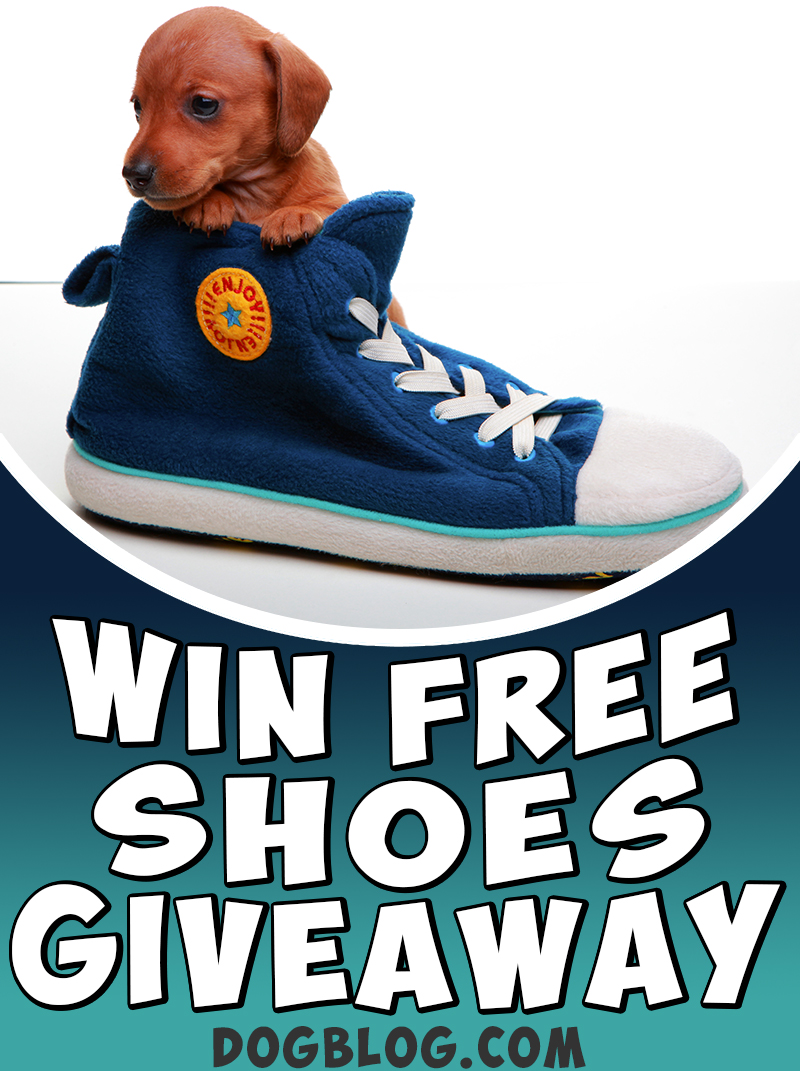 Thank You For Entering The Win Free Shoes Giveaway