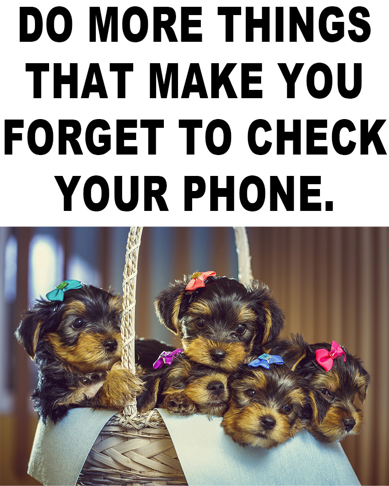 check your phone
