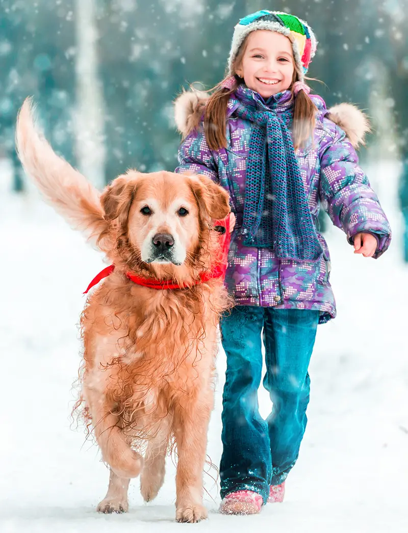 girl with dog in snow