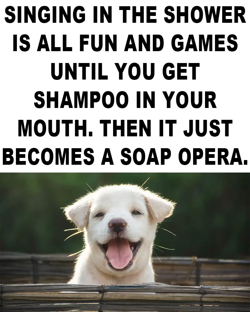 soap opera