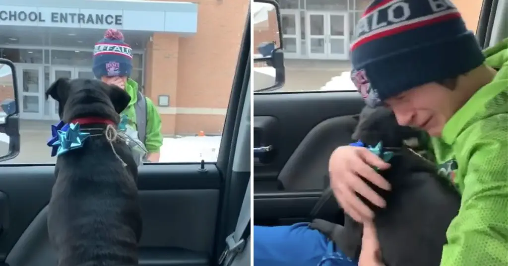 boy reunited with lost dog